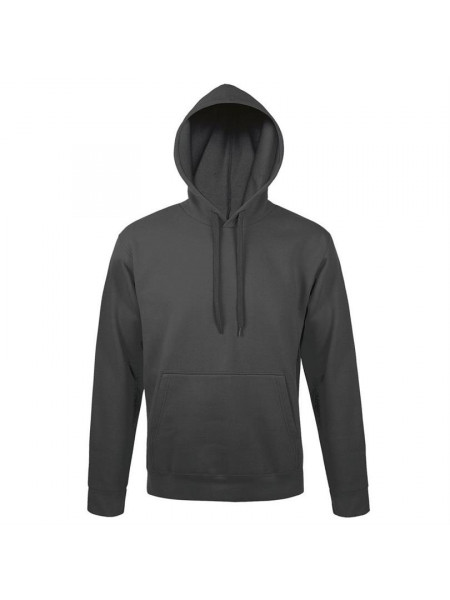 Толстовка с капюшоном Snake II темно-серая